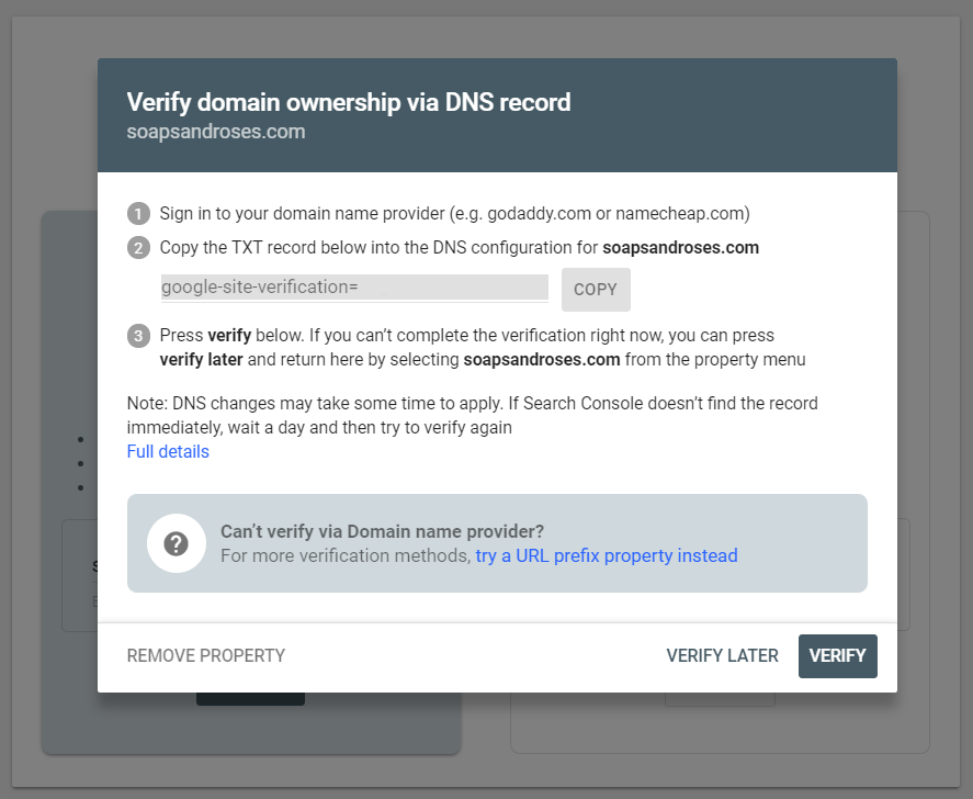 Verify your domain using the TXT DNS Record